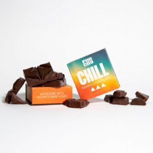 funguy chill chocolate in stock now online, buy funguy chocolates now online, funguy edibles chocolate​ in stock now, buy funguy.chocolate
